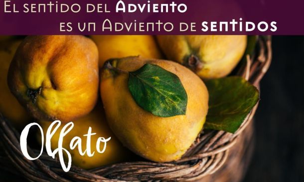 El sentido del Adviento es un Adviento de sentidos. OLFATO